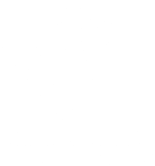 Midgard ITS