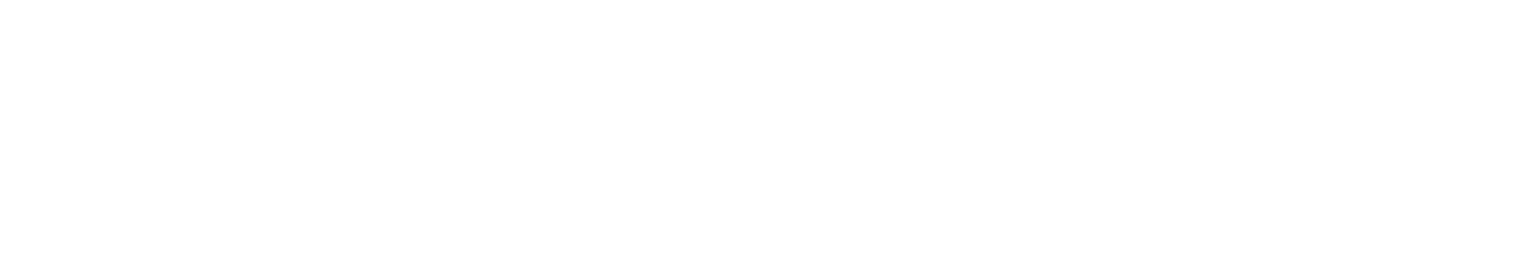 Cyberspace (Cyberspace Solutions)