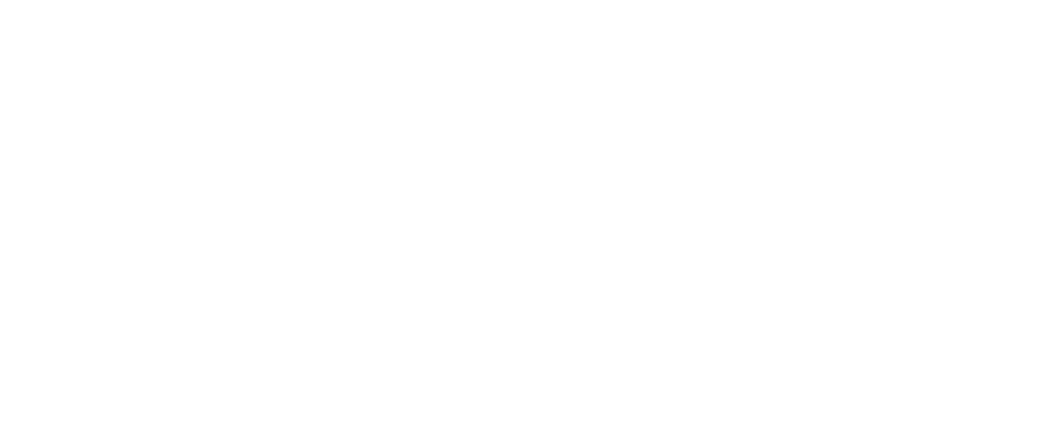 Binary Confidence s.r.o.