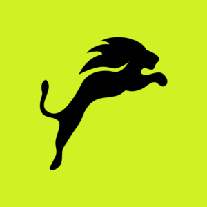 Saleslion Suomi Oy