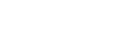 Integer Consulting