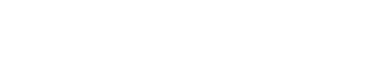 DevScope (2)