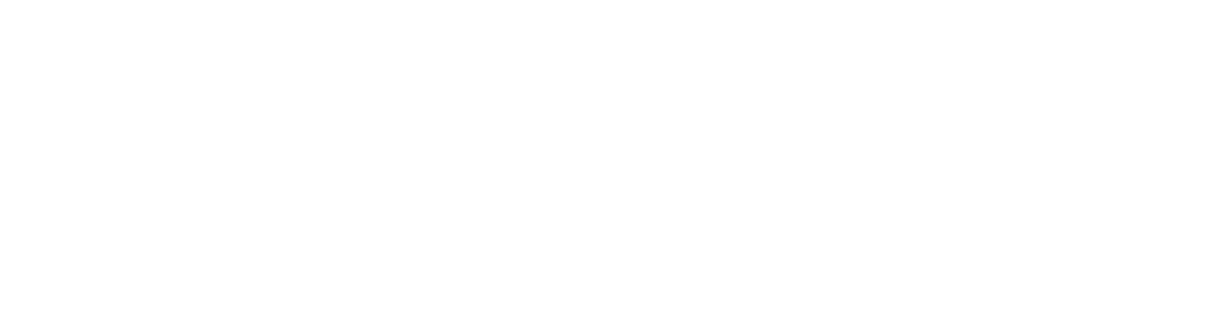 LECS / Cyber Evolution