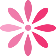 Pro Active App SIA (WomanLog)
