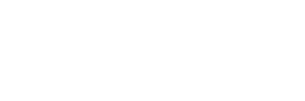 NeoSoft Kft.