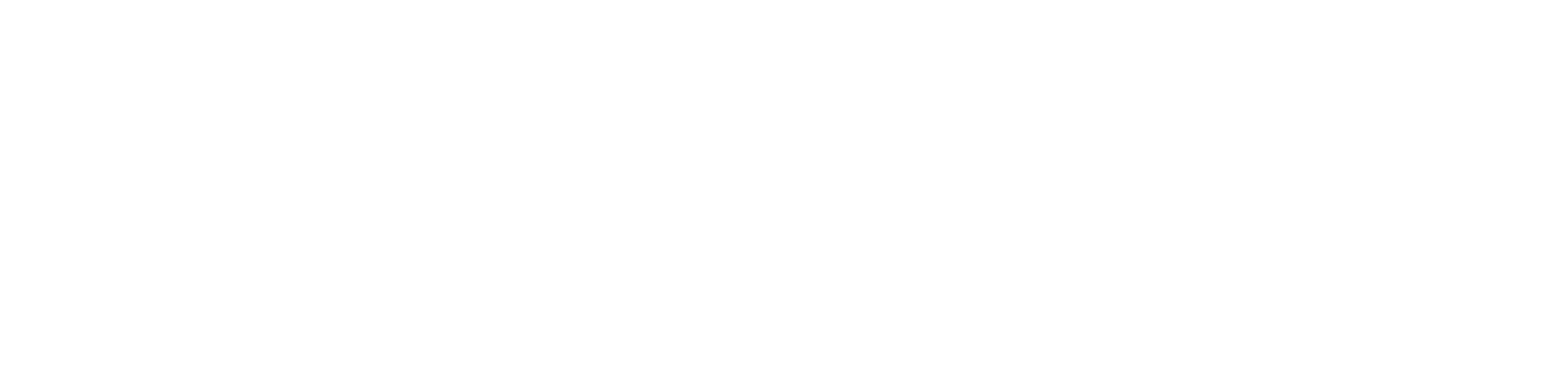 NTT DATA Deutschland