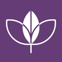 Bluefruit Software