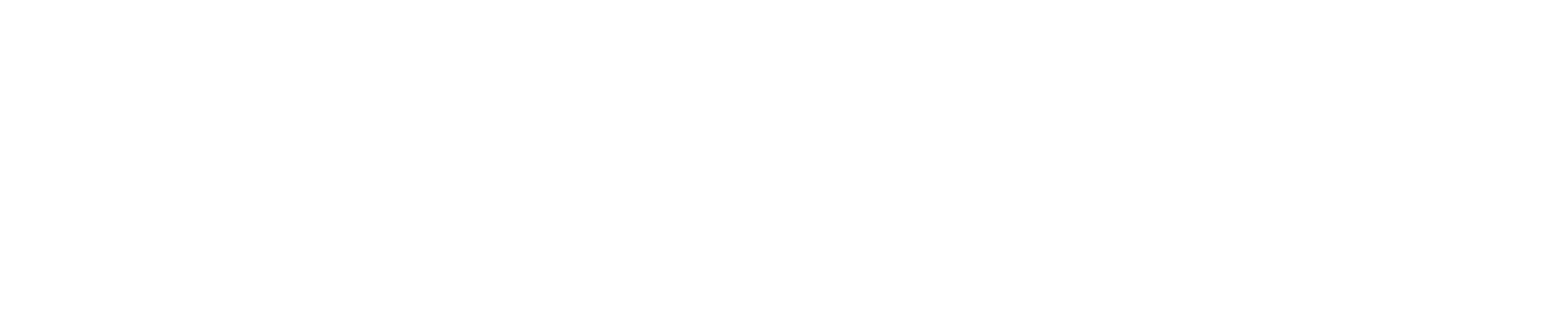 MageGuide / Wesolve