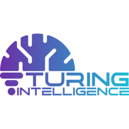 Turing Intelligence