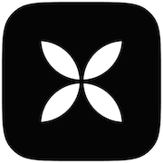Qonto (1)