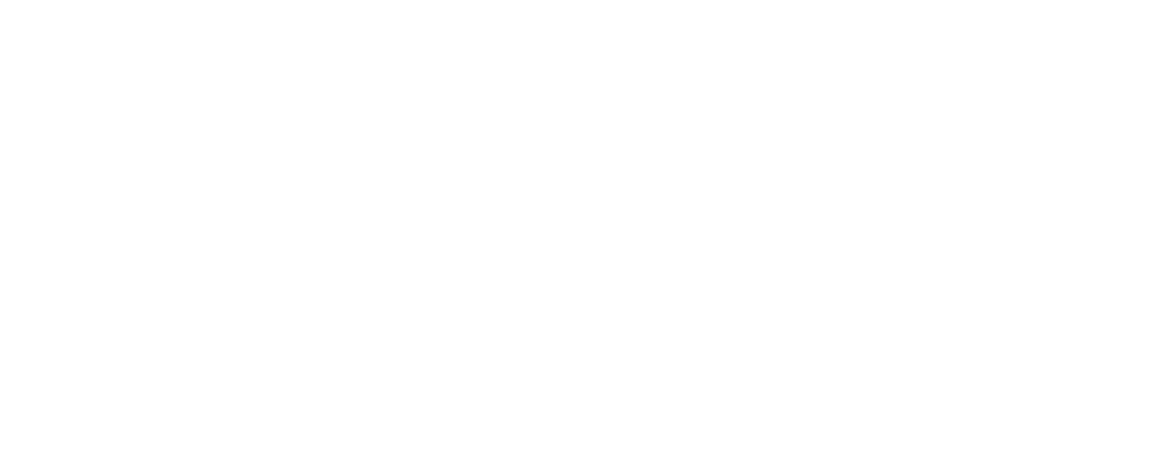 Cognition24 (C24)