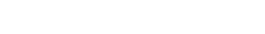 Banca Intesa (Internet acquiring)