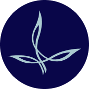 Aldin Dynamics (Aldin)