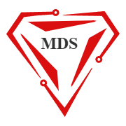 MDS Software Solutions Group (1)
