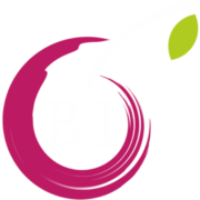 BerryBI (BerryBI OÜ)