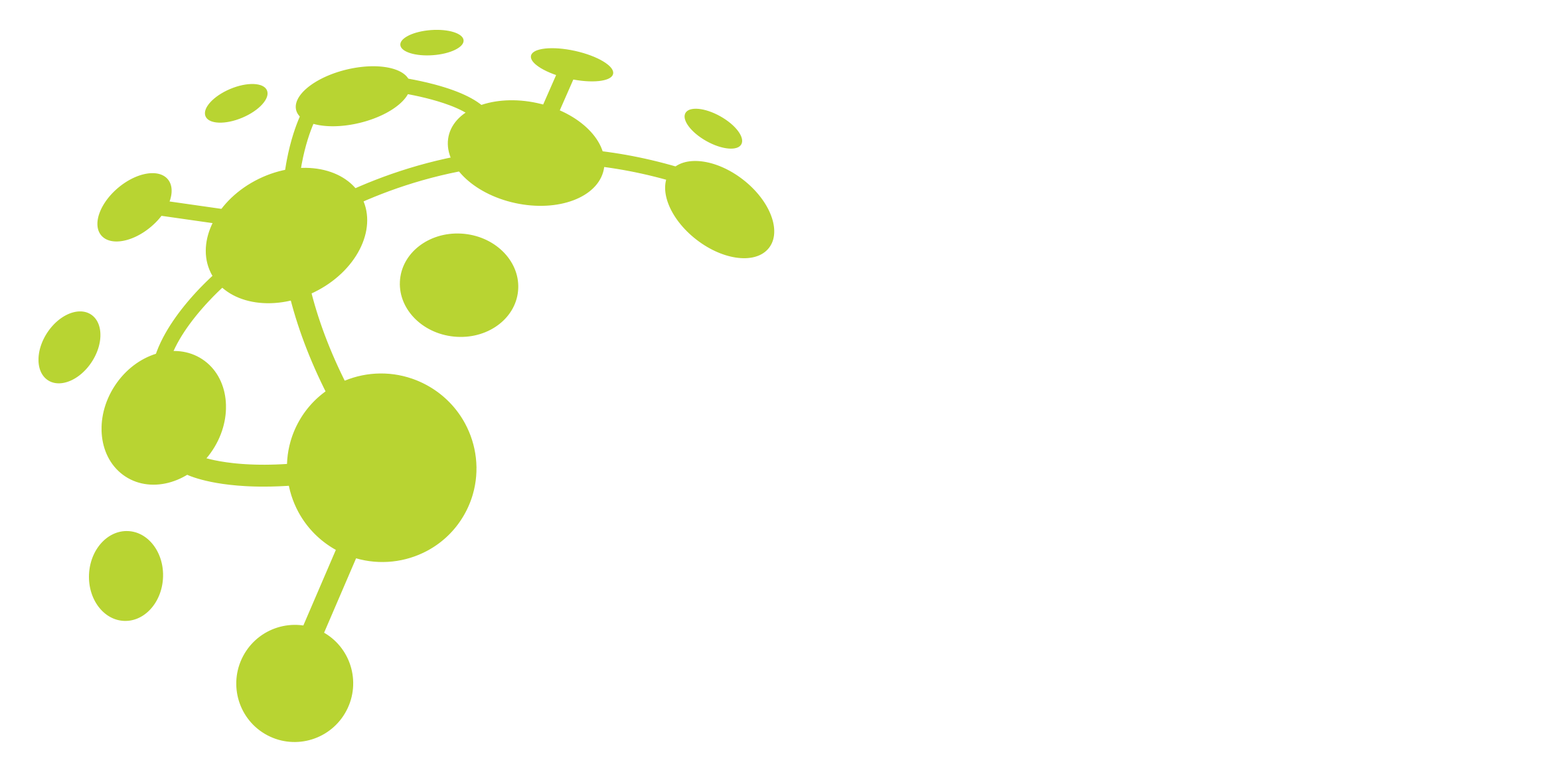 Nebula Consulting