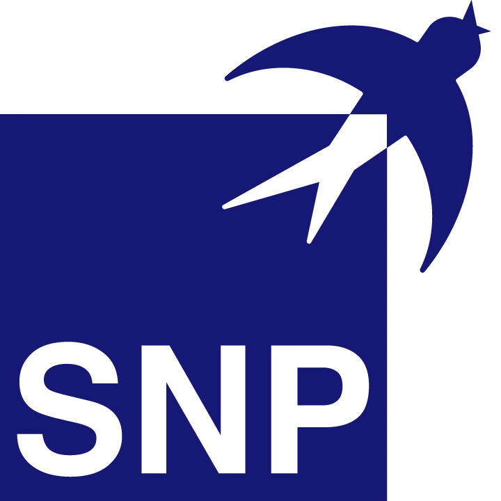 SNP Schneider‑Neureither & Partner SE
